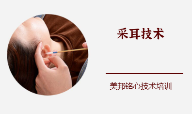 采耳技术